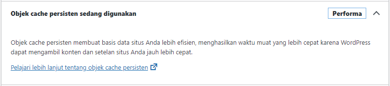 status object cache wordpress